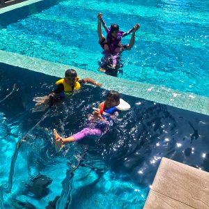 swimming life vest for kids Sauf Brand review